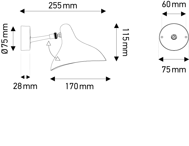 BS5 MINI